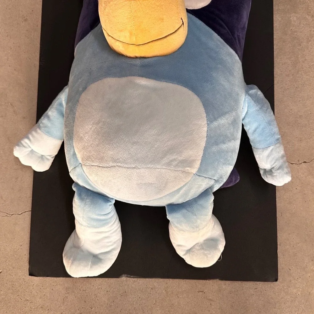 Bluey embrace holiday